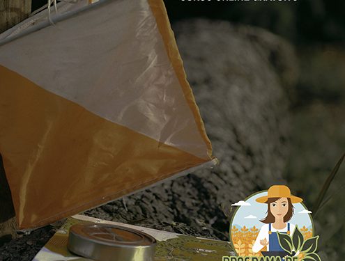 AMFAR recibe 1.243 matrículas de mujeres rurales para siete cursos online