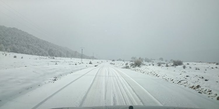 El Gobierno de Castilla-La Mancha comenzará a hacer tratamientos preventivos en la Red regional de Carreteras por la llegada de un temporal de frío 1 El Gobierno de Castilla-La Mancha comenzará a hacer tratamientos preventivos en la Red regional de Carreteras por la llegada de un temporal de frío