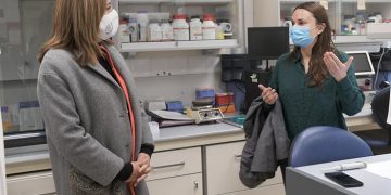 El Gobierno regional financia 14 proyectos de grupos emergentes de investigación dirigidos por jóvenes, de los que un 43% están liderados por mujeres