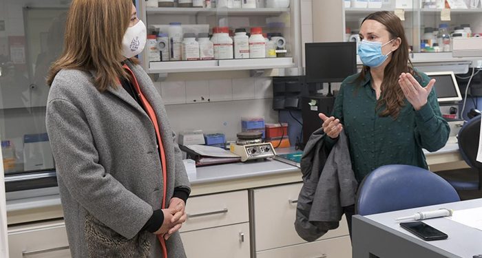 El Gobierno regional financia 14 proyectos de grupos emergentes de investigación dirigidos por jóvenes, de los que un 43% están liderados por mujeres