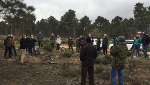 Jornada demostrativa sobre resinación mecanizada en Cobeta