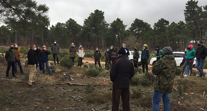 Jornada demostrativa sobre resinación mecanizada en Cobeta