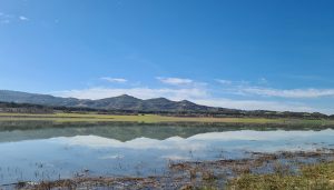 La Asociación de Municipios Ribereños de los Embalses de Entrepeñas y Buendía lamenta y condena la actitud de los gobiernos de Murcia y Valencia