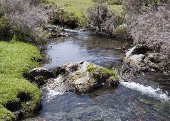 La Asociación de Turismo Sierra Norte de Guadalajara, nuevo socio de la Asociación de Ecoturismo de España