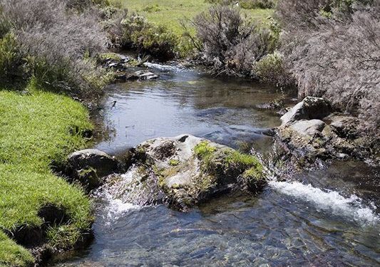 La Asociación de Turismo Sierra Norte de Guadalajara, nuevo socio de la Asociación de Ecoturismo de España