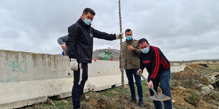 La Diputación de Guadalajara entrega 2.000 árboles a municipios de la provincia 1 La Diputación de Guadalajara entrega 2.000 árboles a municipios de la provincia