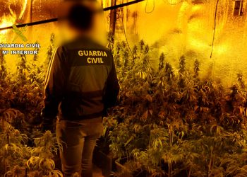 La Guardia Civil desmantela dos plantaciones de marihuana en Galápagos y en El Casar