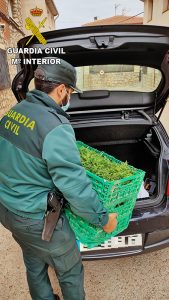 La Guardia Civil detiene a una persona e investiga a otras dos por tráfico de drogas en Uceda y en Almonacid de Zorita