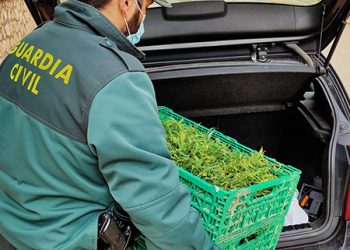 La Guardia Civil detiene a una persona e investiga a otras dos por tráfico de drogas en Uceda y en Almonacid de Zorita 7 La Guardia Civil detiene a una persona e investiga a otras dos por tráfico de drogas en Uceda y en Almonacid de Zorita
