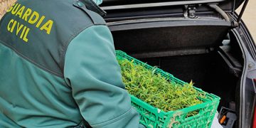 La Guardia Civil detiene a una persona e investiga a otras dos por tráfico de drogas en Uceda y en Almonacid de Zorita