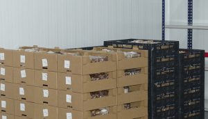 La patronal conquense asegura que las exportaciones han sido la tabla de salvación de muchas empresas en 2020