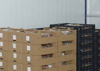La patronal conquense asegura que las exportaciones han sido la tabla de salvación de muchas empresas en 2020