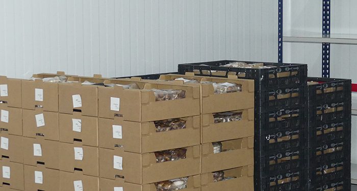 La patronal conquense asegura que las exportaciones han sido la tabla de salvación de muchas empresas en 2020