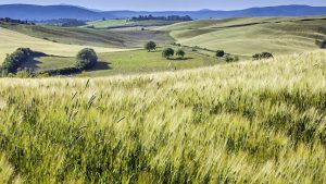 La UCLM invita a entidades públicas y privadas a adherirse al nuevo programa de prácticas universitarias en zonas rurales