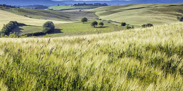 La UCLM invita a entidades públicas y privadas a adherirse al nuevo programa de prácticas universitarias en zonas rurales