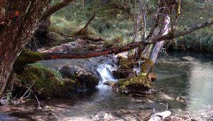 Nace una asociación interprovincial española para la protección y defensa del agua