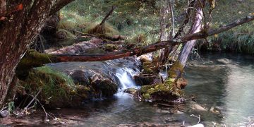 Nace una asociación interprovincial española para la protección y defensa del agua