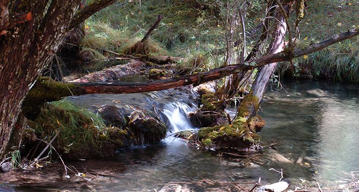 Nace una asociación interprovincial española para la protección y defensa del agua