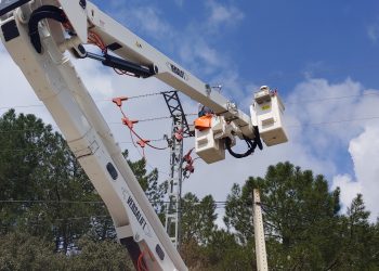 Se instalan sistemas de protección de la avifauna en el tendido eléctrico del Pinar de Jábaga