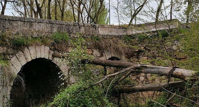 Árbol caído a consecuencia de la nieve