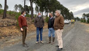 Cerca de 350 efectivos de Geacam actúan preventivamente en 1.500 hectáreas de masas forestales de la provincia de Guadalajara