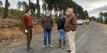 Cerca de 350 efectivos de Geacam actúan preventivamente en 1.500 hectáreas de masas forestales de la provincia de Guadalajara