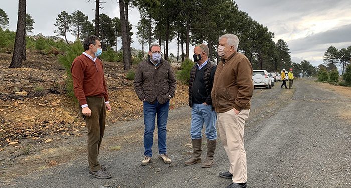 Cerca de 350 efectivos de Geacam actúan preventivamente en 1.500 hectáreas de masas forestales de la provincia de Guadalajara 1 Cerca de 350 efectivos de Geacam actúan preventivamente en 1.500 hectáreas de masas forestales de la provincia de Guadalajara