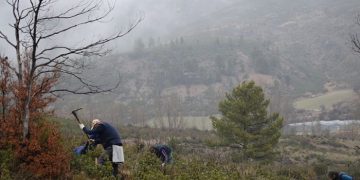 Comienza un proyecto piloto para la restauración del incendio de 2012 en Checa y Chequilla