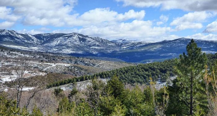 Ecologistas en Acción cree que la modificación de la Ley del Parque Natural de la Sierra Norte de Guadalajara lo desprotege 1 Ecologistas en Acción cree que la modificación de la Ley del Parque Natural de la Sierra Norte de Guadalajara lo desprotege
