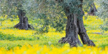 #EducarenCLM abordará en abril la sostenibilidad y el cambio climático con la participación de destacados especialistas y varios centros educativos