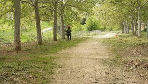 El Ayuntamiento de Cabanillas recuerda la obligación de desbrozar y vallar parcelas particulares