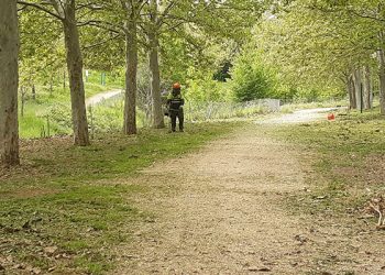 El Ayuntamiento de Cabanillas recuerda la obligación de desbrozar y vallar parcelas particulares