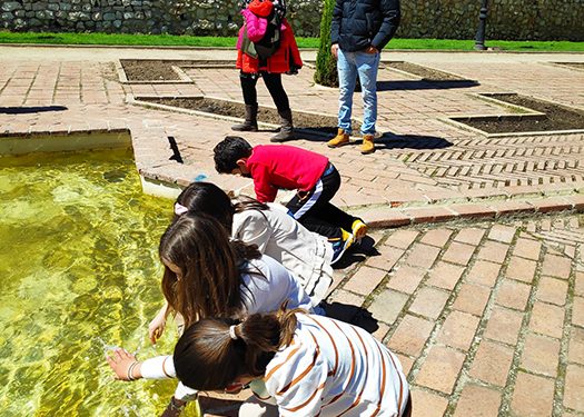 El Ayuntamiento de Guadalajara sigue apostando por las visitas familiares y nos invita a conocer la Guadalajara de las tres culturas