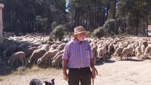 El Gobierno publica la orden de módulos del IRPF 2020 que recoge importantes reducciones para agricultores y ganaderos