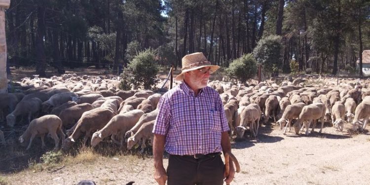 El Gobierno publica la orden de módulos del IRPF 2020 que recoge importantes reducciones para agricultores y ganaderos