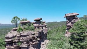 El Gobierno regional aprueba un gasto de 105.379 euros y encarga a Geacam la prestación de apoyo técnico para la certificación forestal en diversos montes de Cuenca, Guadalajara y Toledo