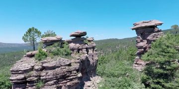 El Gobierno regional aprueba un gasto de 105.379 euros y encarga a Geacam la prestación de apoyo técnico para la certificación forestal en diversos montes de Cuenca, Guadalajara y Toledo