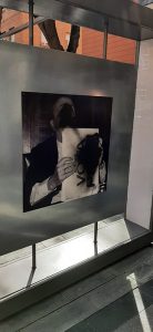 El Grupo Socialista condena expresiones de odio en un ataque vandálico contra la exposición ’50 fotografías con historia’ en Guadalajara en las que se aludía al PSOE