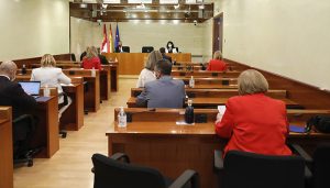 El Pleno del jueves nombrará a Sánchez Navarro senadora por designación autonómica