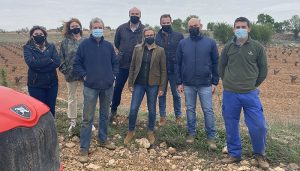 El PP-CLM exige a Page que escuche a los agricultores y habilite medidas urgentes para frenar los daños de conejos