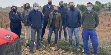 El PP-CLM exige a Page que escuche a los agricultores y habilite medidas urgentes para frenar los daños de conejos