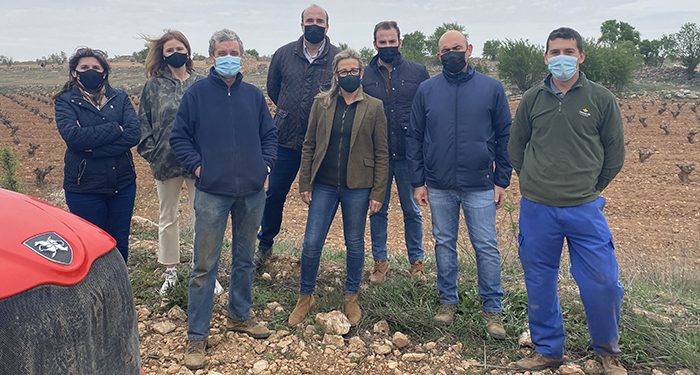 El PP-CLM exige a Page que escuche a los agricultores y habilite medidas urgentes para frenar los daños de conejos 1 El PP-CLM exige a Page que escuche a los agricultores y habilite medidas urgentes para frenar los daños de conejos