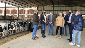 El PP-CLM  quiere que Page copie a Ayuso en la bajada de impuestos para ayudar a autónomos, agricultores, ganaderos y familias