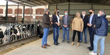 El PP-CLM quiere que Page copie a Ayuso en la bajada de impuestos para ayudar a autónomos, agricultores, ganaderos y familias