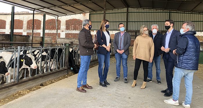 El PP-CLM quiere que Page copie a Ayuso en la bajada de impuestos para ayudar a autónomos, agricultores, ganaderos y familias