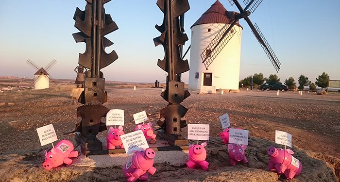 La Asociación Pueblos Vivos, más que contenta El Ayuntamiento de Mota del Cuervo deniega la licencia para una macrogranja porcina