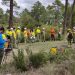 La Escuela Técnica Superior de Ingenieros Agrónomos y de Montes forma en el proyecto “Plantando Cara al Fuego”