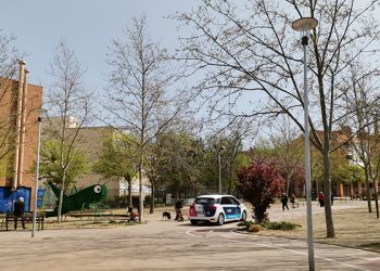 La Policía Local de Guadalajara impone 67 denuncias en la última semana, 17 por incumplimiento del horario nocturno 2 La Policía Local de Guadalajara impone 67 denuncias en la última semana, 17 por incumplimiento del horario nocturno