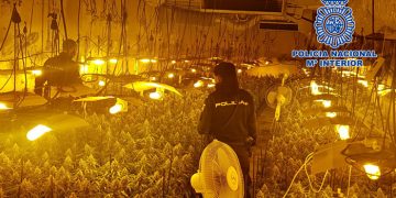La Policía Nacional desmantela la mayor plantación “indoor” de cultivo ilegal de marihuana en la ciudad de Guadalajara