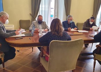 Los Grupos de Acción Local seguirán colaborando con la Diputación de Guadalajara en la gestión de ayudas a negocios rurales y sector primario
